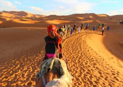 Balade à dos de dromadaire dans le désert du Sahara