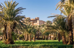 Vallée du Drâa : guide, kasbahs et désert marocain