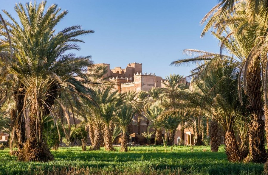 Vallée du Drâa : guide, kasbahs et désert marocain