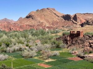 Excursions et Circuits Sur Mesur au Maroc - DesertMaroc